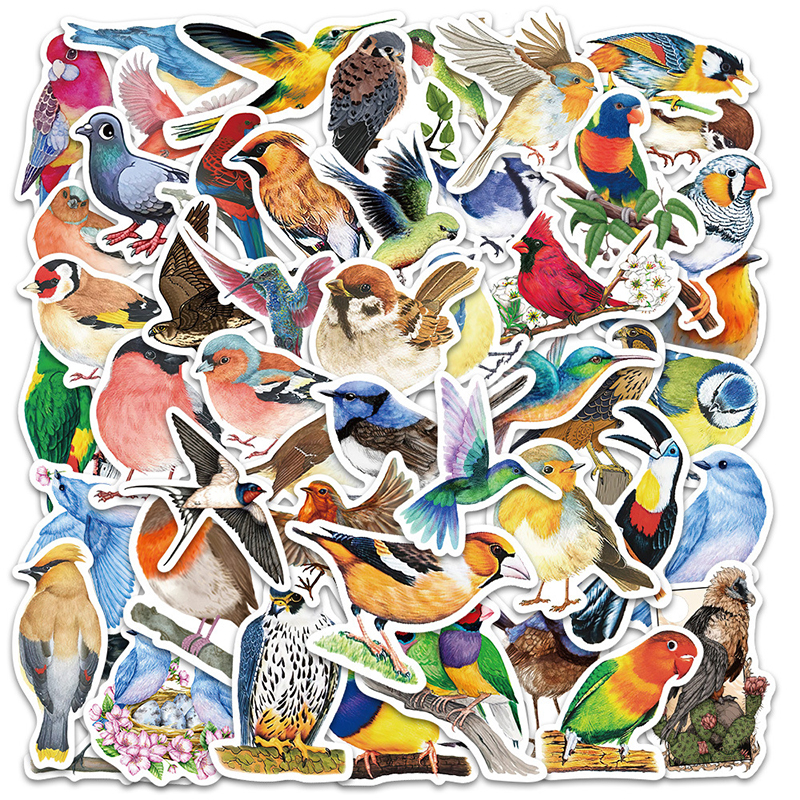 50PCS Watercolor Bird Graffiti - Phone Cases Kids incelemesi ve fiyatı